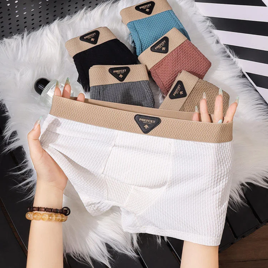 Boxer premium 4 et 2 offert